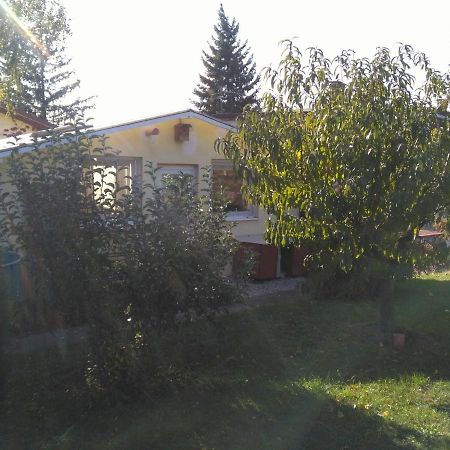 Greenhouse Just 15 Min From The Old Town Μπρατισλάβα Εξωτερικό φωτογραφία